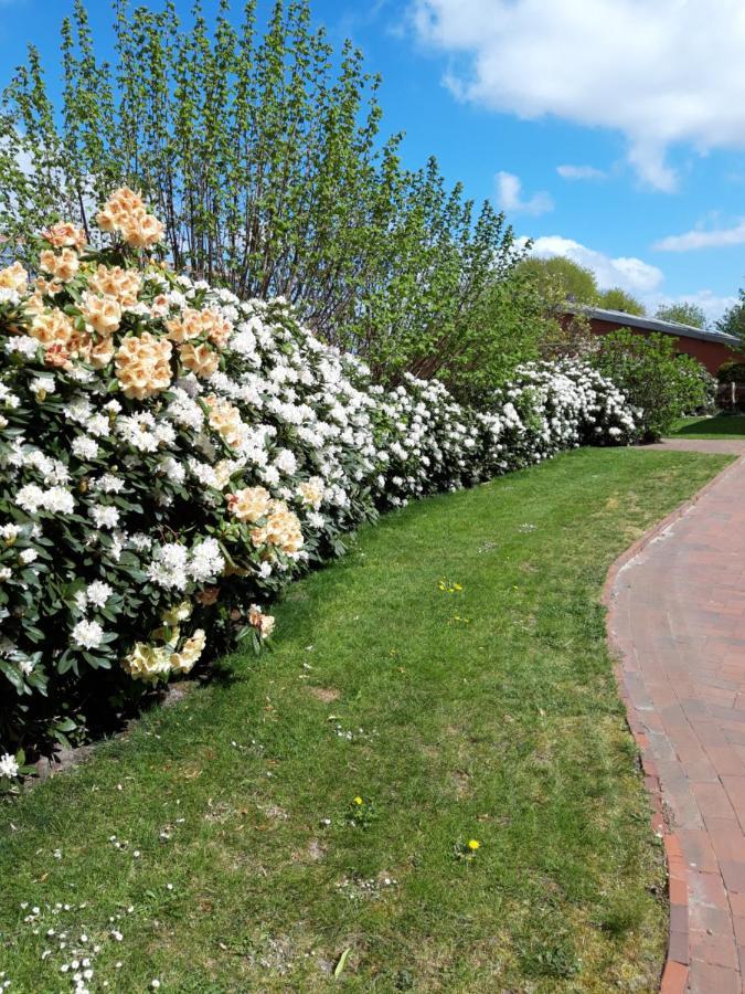 Ferienhof Kleemann Barssel  Eksteriør billede